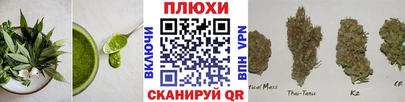 omg ссылка  Судогда  Печенье с ТГК марихуана  цены  