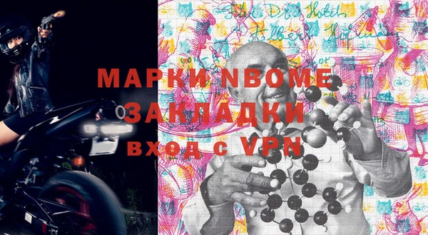 шишки Заволжье