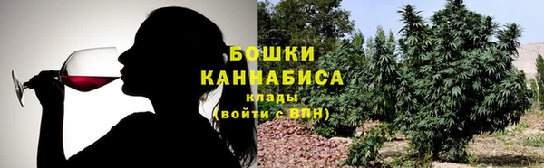 крисы Касимов