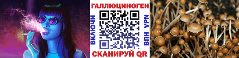 Галлюциногенные грибы Magic Shrooms  Судогда 
